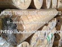 Wire Tree Guards (perfect for climbing plants ISO 9001)