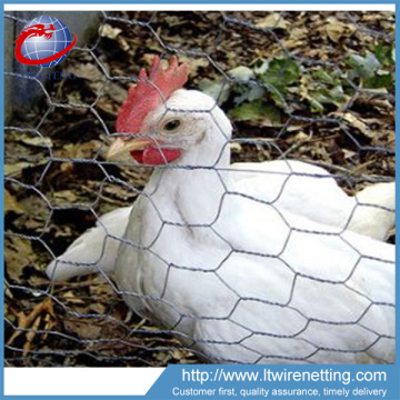 Hexagonal chicken coop iron wire fence decorative