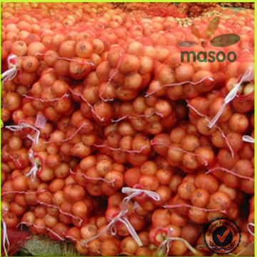 wholesale fresh china origin onion