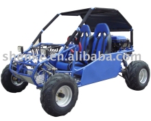250cc EPA go kart