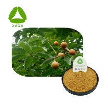 Horse Chestnut Extract Escin 20% Powder CAS 6805-41-0