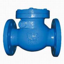 DIN Flanged Swing Check Valve - Online Search Engine