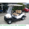 Cheap Price 2 Seater Electric Golf Cart with Golf Bag