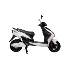 Halley Electric Dual Motor E-Scooter: Your Ultimate Urban Commute Solution