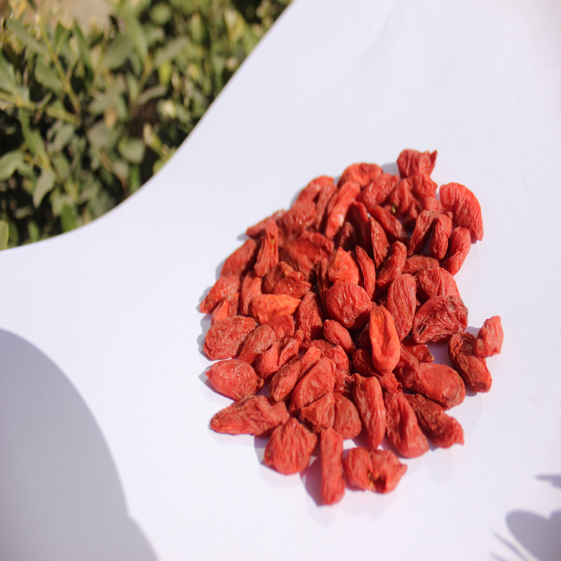 Nutrien yang tinggi Bijak Goji Berry yang Sihat