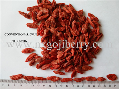 Kering Goji Berry buah pemasok