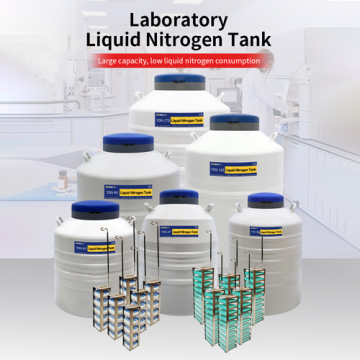 Djibouti liquid nitrogen tank for laboratory KGSQ embryo storage tank