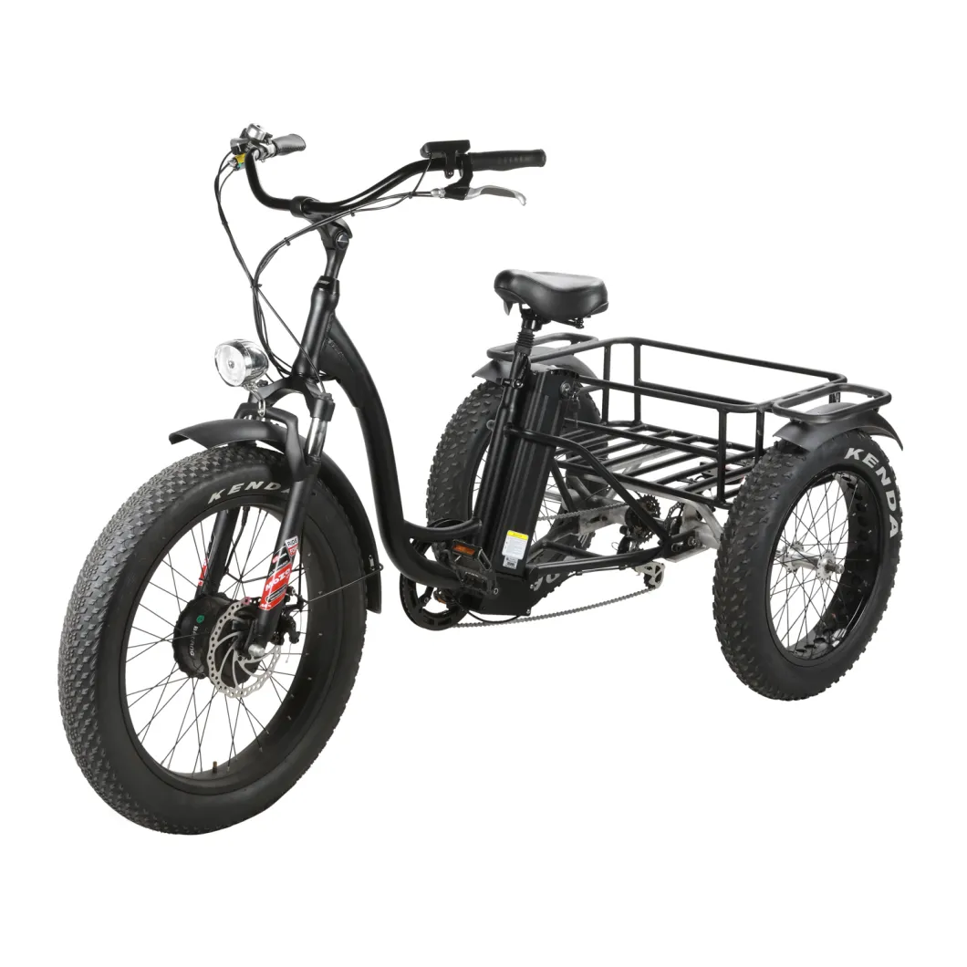 Cargo Electric Bike 3 Wheels Electric Tricycle Scooter