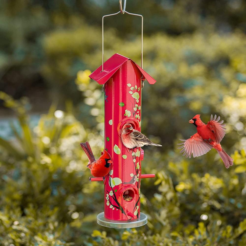 Hängande rörfågelfeeder med 6 utfodringsportar