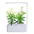 Smart Led Light Hydroponic Systems indoor Flower Pot