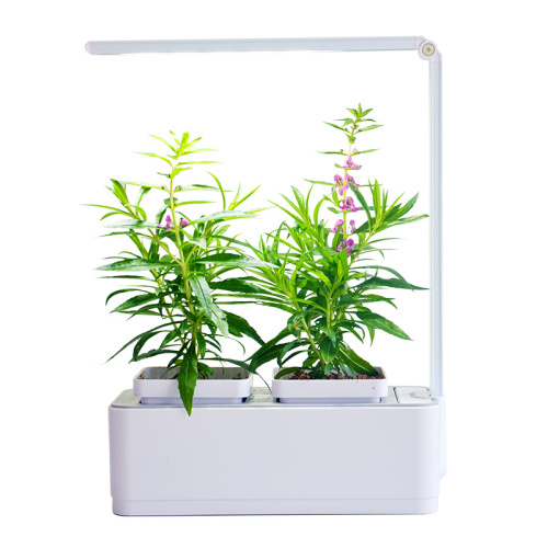 Intelligente LED-Licht-Hydroponik-Systeme Indoor-Blumentopf