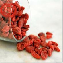 5kg Packing Goji Berry Buah Organik Goji Berries