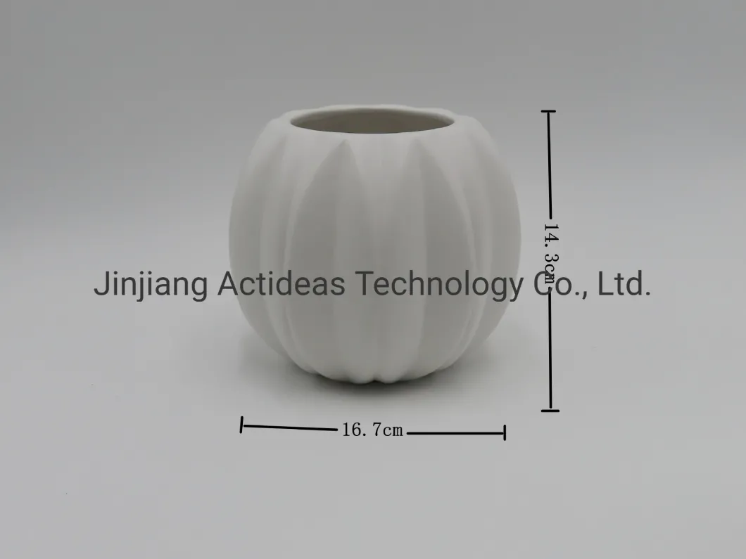 Fashion Design Ceramic Flower Vase Home Decoration