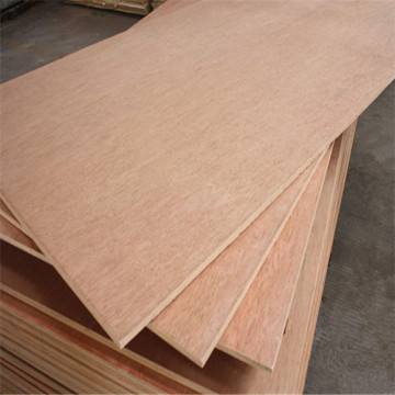 Bintangar commercial veneer plywood wholesale