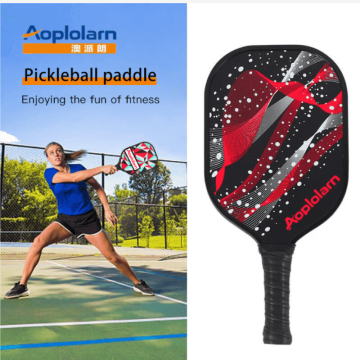 Professional pickleball paddle with pickleballs