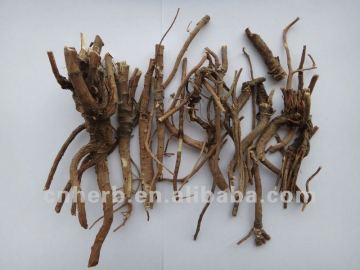 Dried Chinese thorowax root,Chai hu,Chaihu,Resisting bacteria medicine