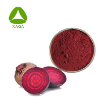 Polvo de raíz de remolacha roja seca soluble en agua