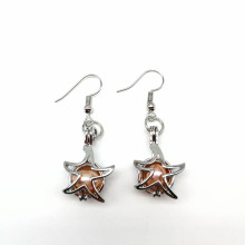 Wholesale Lockets Beads Cage Charms For Earrings Making