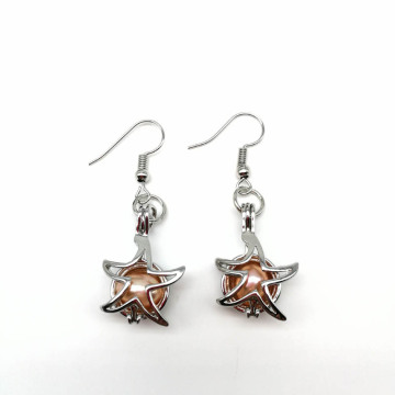 Wholesale Lockets Beads Cage Charms For Earrings Making