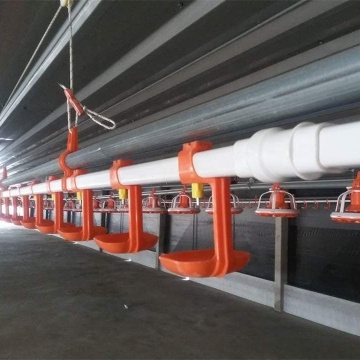 Automatic Poultry Watering System for Broilers, Layers, and Quails