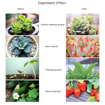 Full Spectrum Grow Light AC85-265V-Zimmerleuchte für Pflanzen