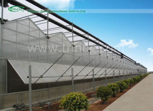 Polycarbonate Agricultural Greenhouse