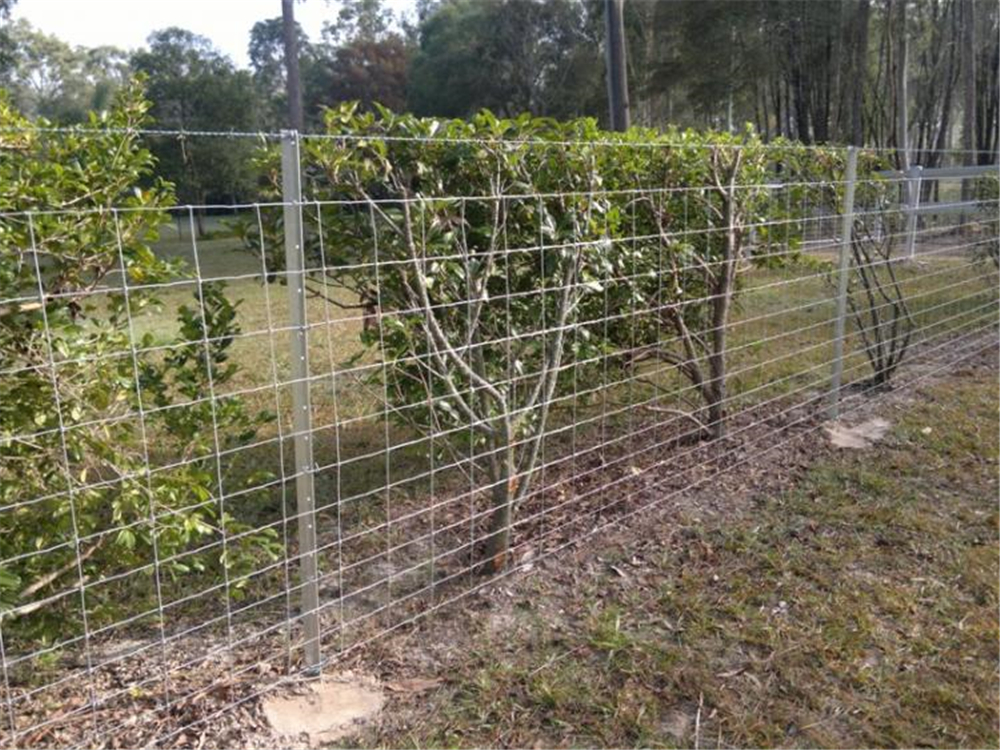 1.8mm Waratah barb wire, 12-115-15 Stiff Stay & gal star pickets