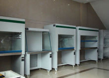 Vertical Flow Laboratory Clean Room Cabinets Stainless Steel , 990×750×1620mm