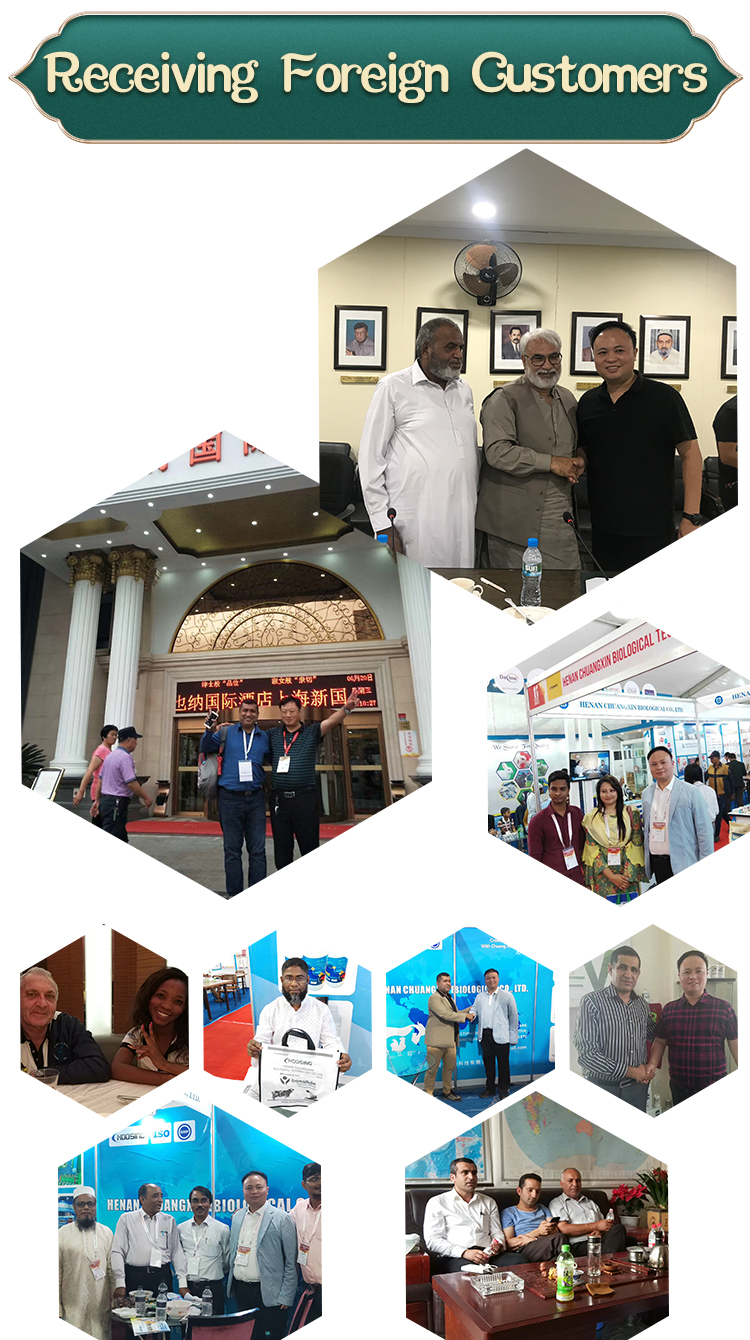 Reception of foreign clients