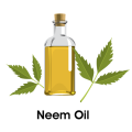 Olio di semi di Neem per l&#39;agricoltura