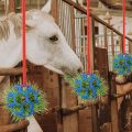 Silikon häst behandla boll långsam foder boll