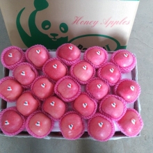 Super quality with reasonable Price Fuji Apple