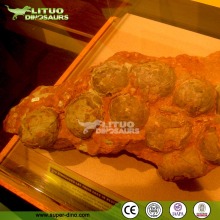 Museum Exhibit Simulation Dinosaur Egg Fossil Sale