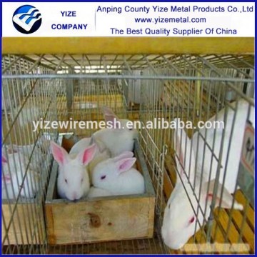 rabbit cage in kenya farm,commercial rabbit farm cage,breeding cage for rabbit farm (Real Factory)