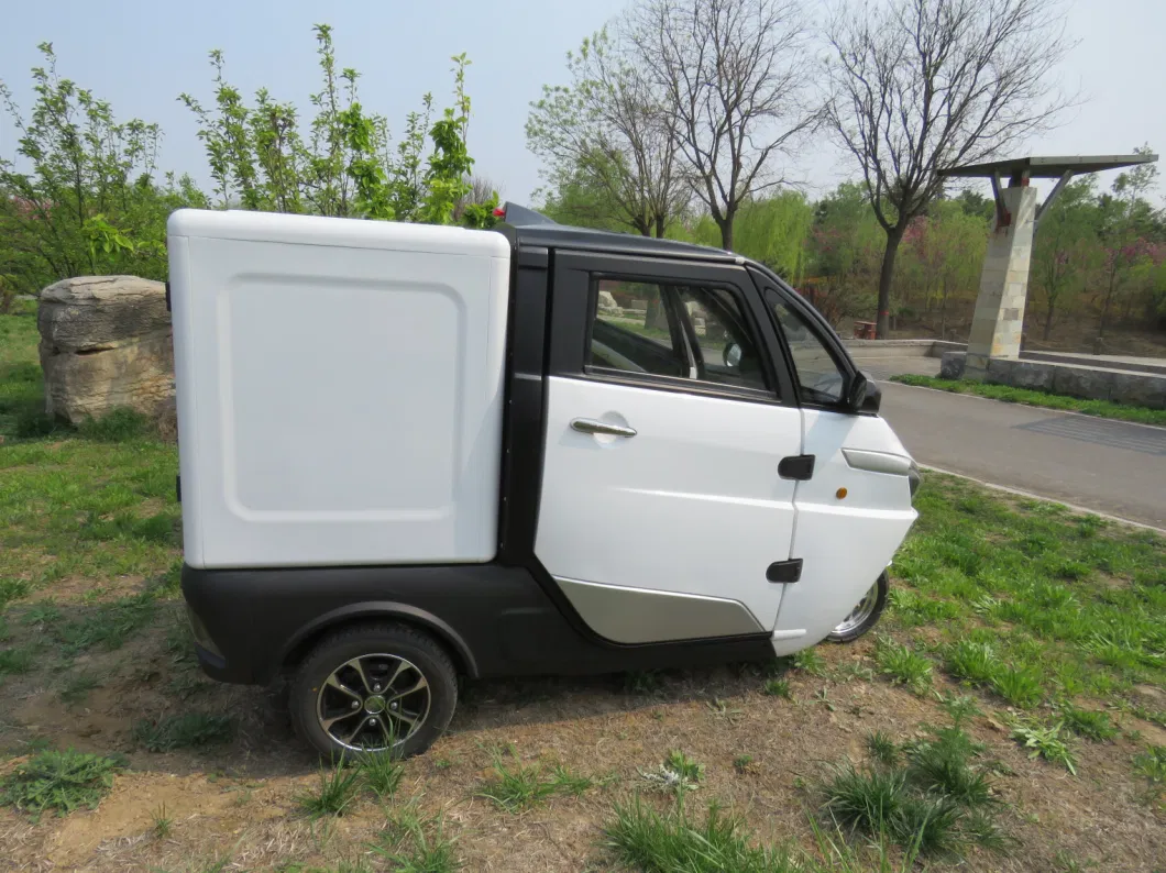 EEC L2e Proved Mini Electric Tricycle Cargo for Delivery
