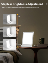 Full Spectrum LED Facial Treatment Light