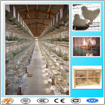 factory supply pigeon breeding cage