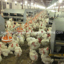 Full Set Poultry Equipment for Breeder