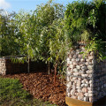 Svetsad Gabion-bur för dekorativ trädgård