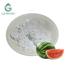 Watermelon Seed Protein for Plant-Based Food Applications