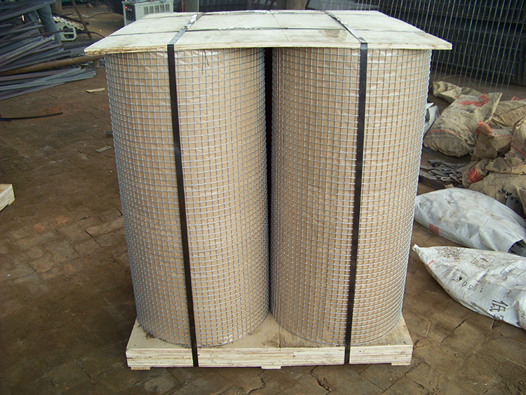 Welded Wire Mesh