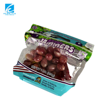 Custom Printed Transparent Stand Up Veg and Guava Fruit Cover Bags