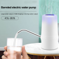 Tragbarer elektrischer Wasserspender