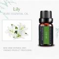 Hot Products 10ml Plant Organic Lily Essential Oil