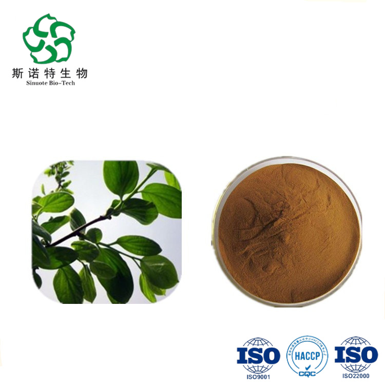 Persimmon Leaves Extract Persimmon Leaves Extract
