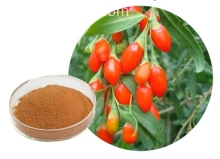 Unusual mineral lye goji powder.