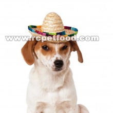 dog hat crochet pattern