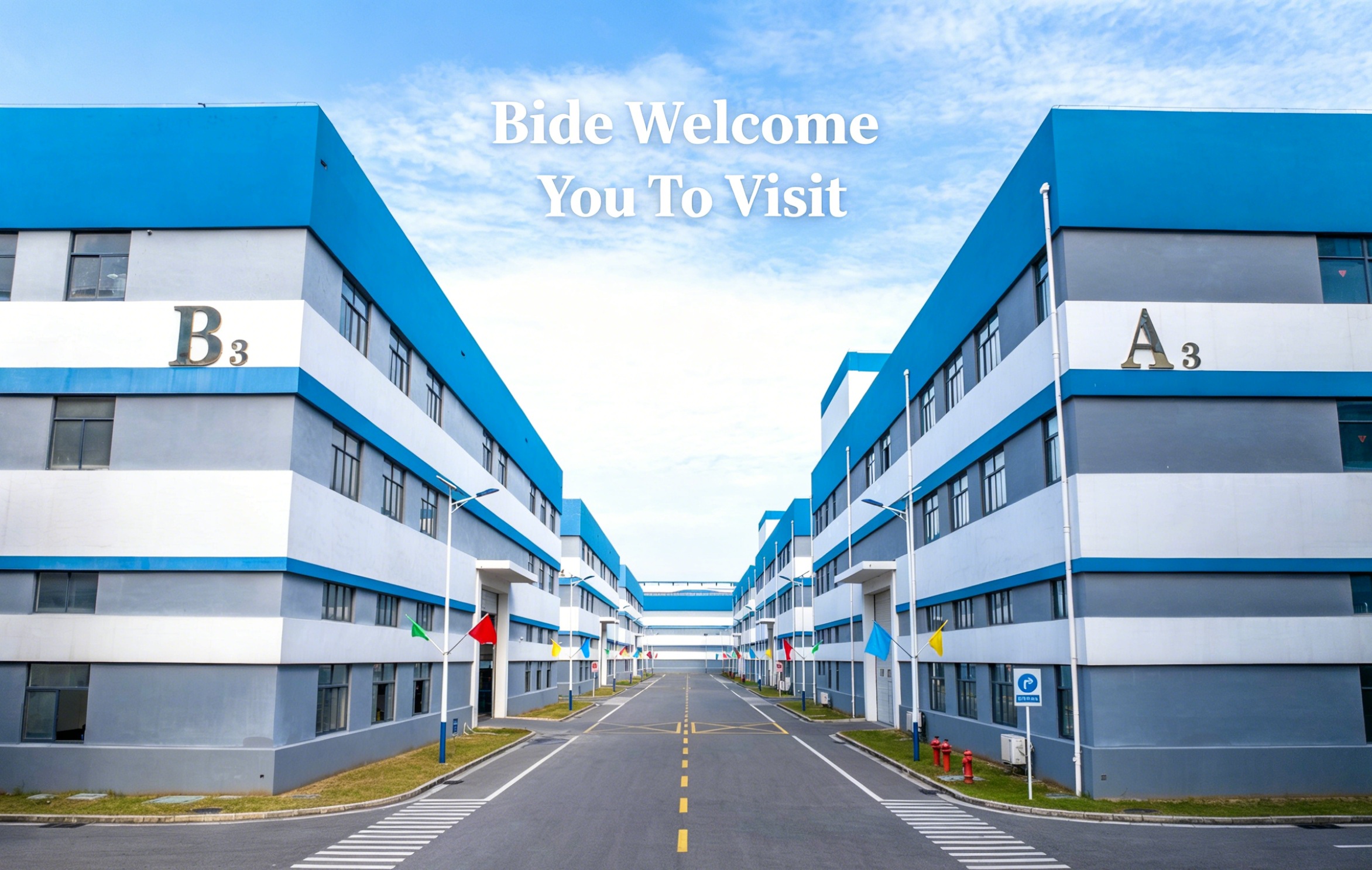 BIDE Ku soo dhawoow inaad booqato BIDE Welcome you visit