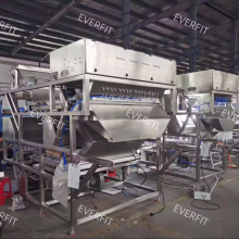 High Quality Date Palm Sorting and Grading Machine