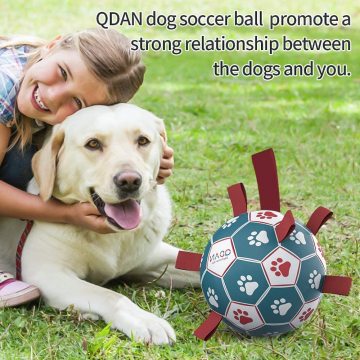 Köpek oyuncakları futbol topu köpek topu